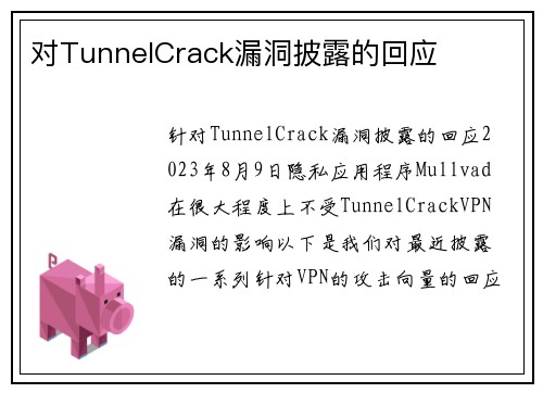 对TunnelCrack漏洞披露的回应 