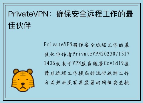 PrivateVPN：确保安全远程工作的最佳伙伴