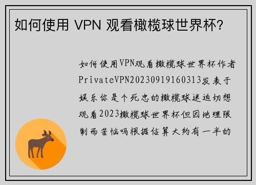 如何使用 VPN 观看橄榄球世界杯？