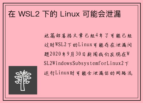 在 WSL2 下的 Linux 可能会泄漏 