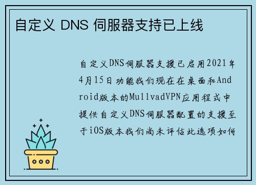 自定义 DNS 伺服器支持已上线 